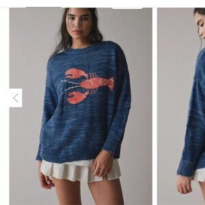Anthropologie - BDG Kurt Lobster Graphic Distressed Sweater - size medium UEC